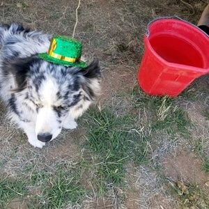 Meet your Posher, Eileen